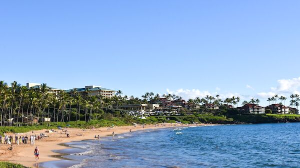 A scenic beach with people, palm trees, buildings in the background, and the ocean under a clear blue sky.