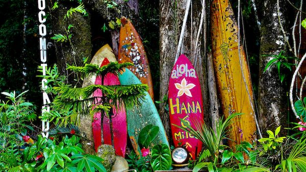 The image shows colorful surfboards vertically placed among lush vegetation, with signs reading "COCONUT LAND," "aloha," and others.