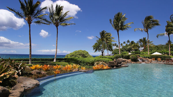 A tropical resort scene with a clear blue swimming pool, palm trees, colorful plants, and the ocean in the background under a bright blue sky.