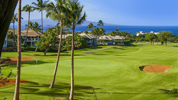 This image shows a picturesque golf course bordered by palm trees and residential buildings, with an ocean view and a clear blue sky in the background.