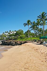 A sunny tropical beach with golden sand, palm trees, lounge chairs, green umbrellas, and calm turquoise water along a rocky coast.